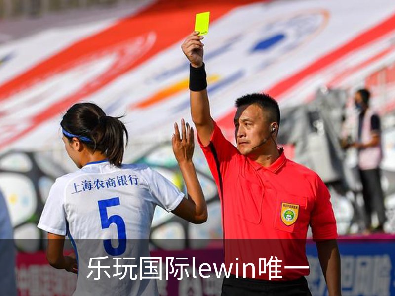 乐玩国际lewin唯一介绍