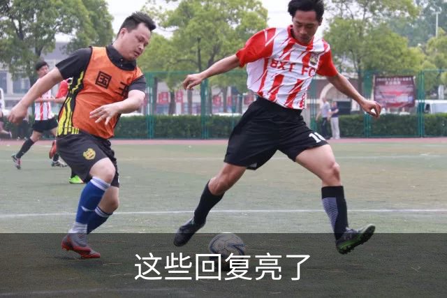 这些回复亮了